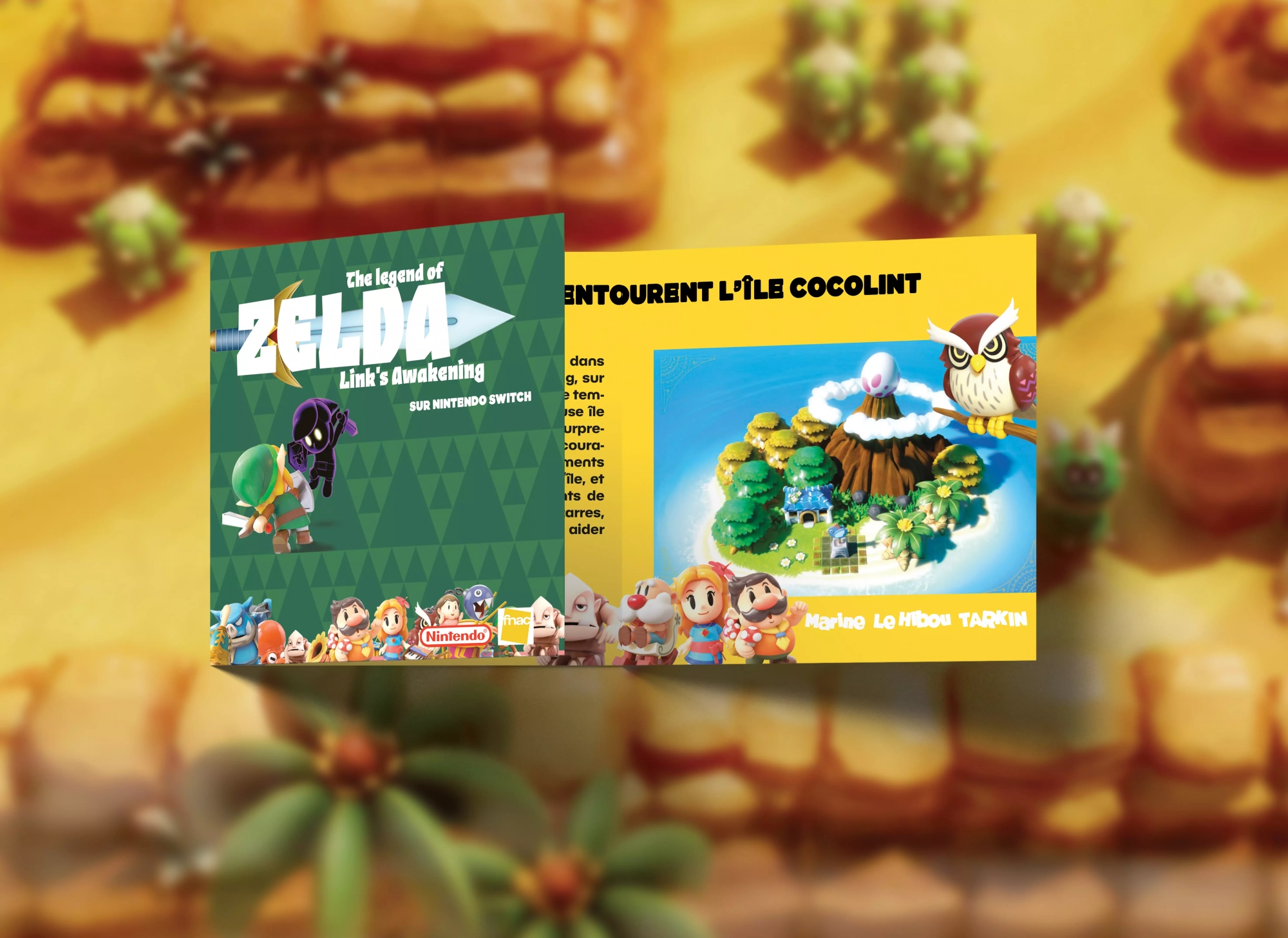 LeafletZeldaPliageFermer-Fnac&Nintendo