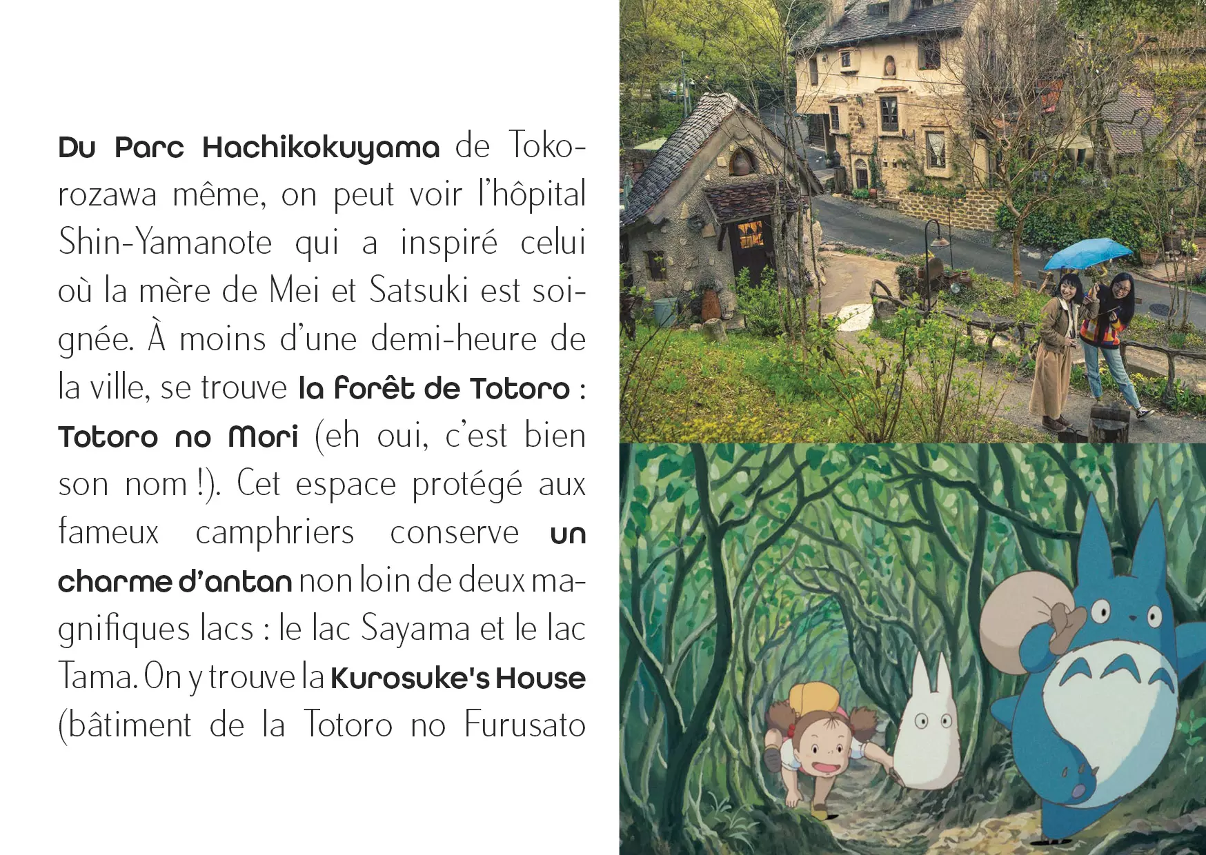 Livret-10JoursAuJaponSurLesTracesD'HayaoMiyazakiPage14-VoyageursDuMonde