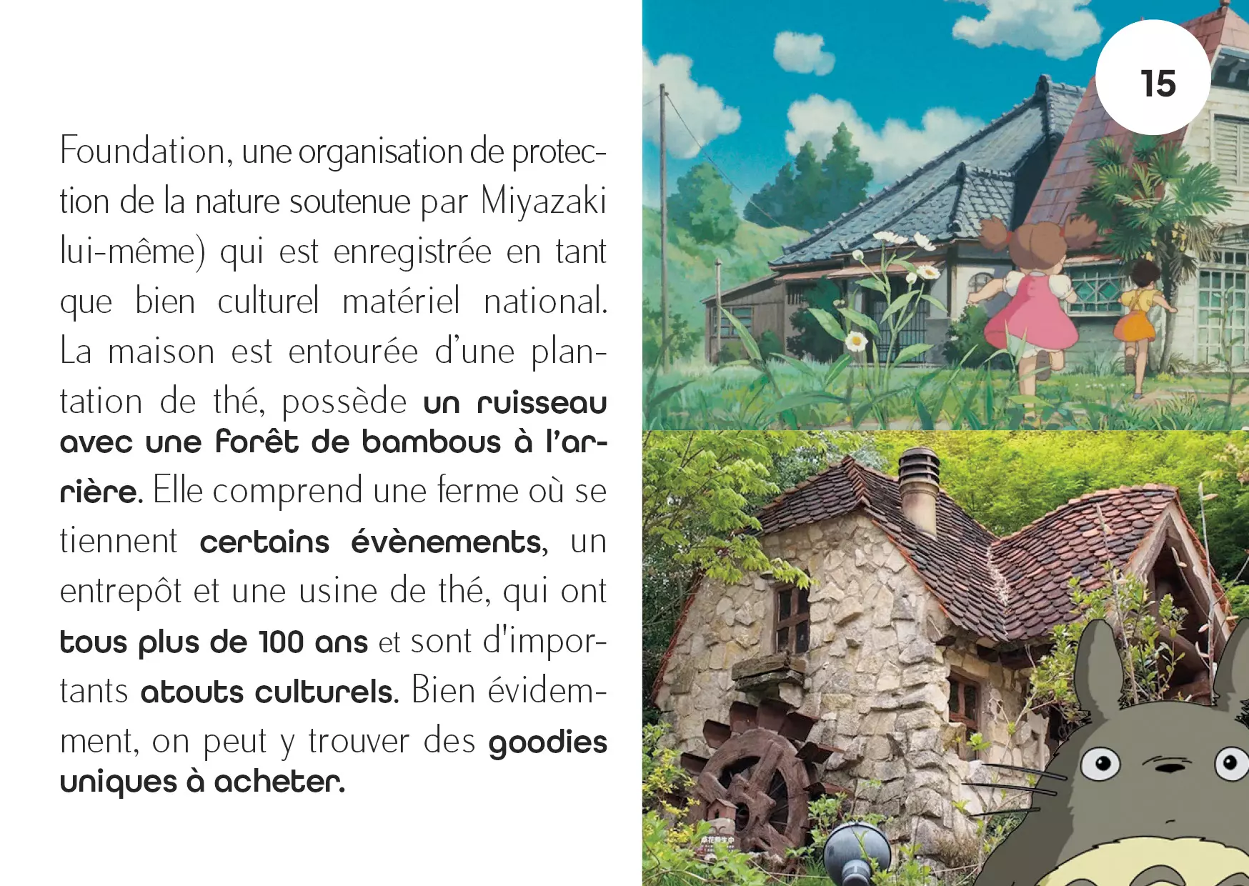 Livret-10JoursAuJaponSurLesTracesD'HayaoMiyazakiPage15-VoyageursDuMonde