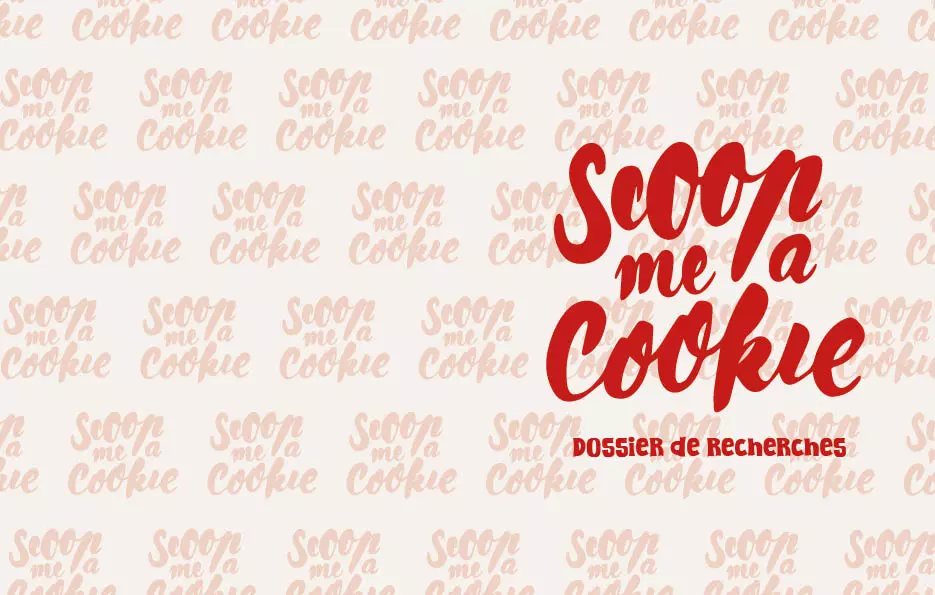 DossierdeRecherche-Scoopmeacookie-page
